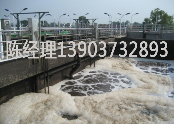 屠宰，養(yǎng)殖廢水處理